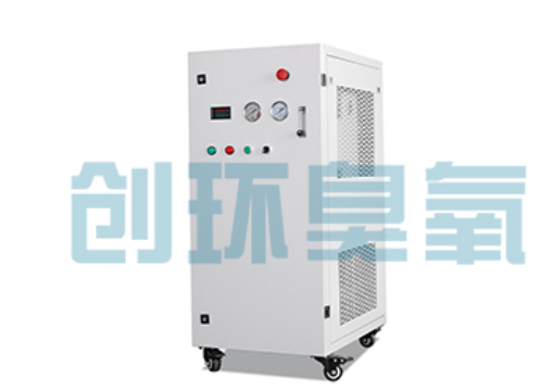 泉州石斑鱼养殖水质调控完整指南:臭氧发生器配置与操作步骤