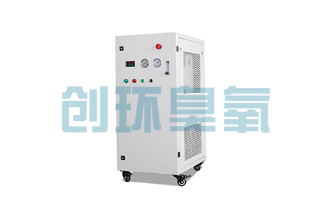 泉州比传统换水更高效?臭氧发生器在石斑鱼养殖中的水质净化原理解析